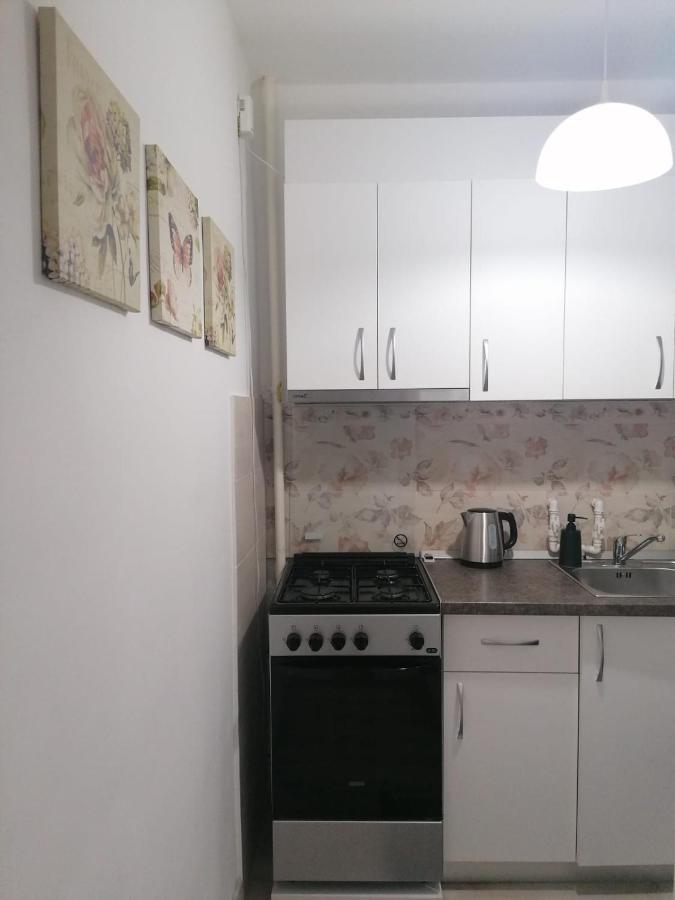 Laroka House Cosy And Modern Universitate-city Centre Apartment